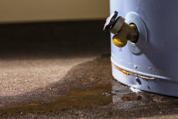 Best Flood damage cleanup  in St Joseph, MN