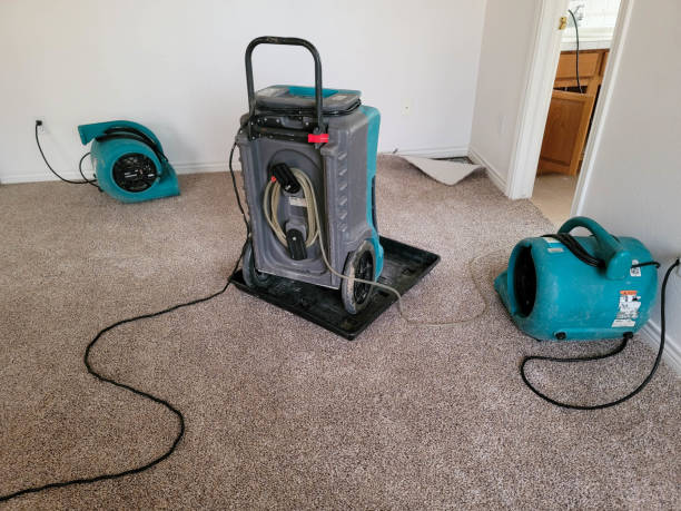 Best 24/7 water damage repair  in St Joseph, MN