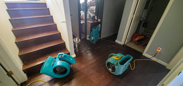 Best Carpet water damage restoration  in St Joseph, MN