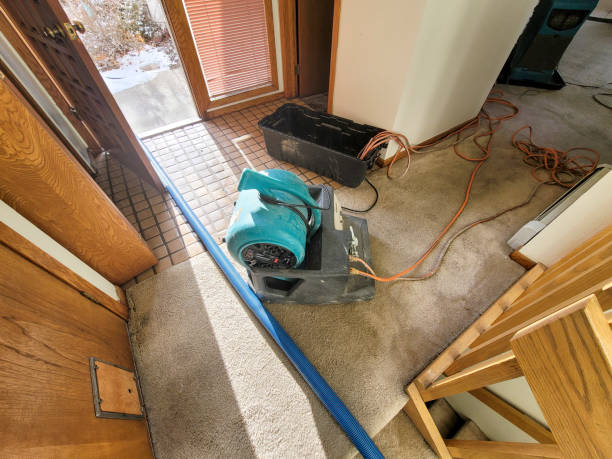 Best Water damage restoration insurance claims  in St Joseph, MN