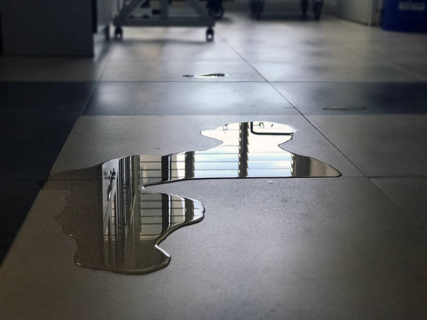 Best Water damage contractors near me  in St Joseph, MN