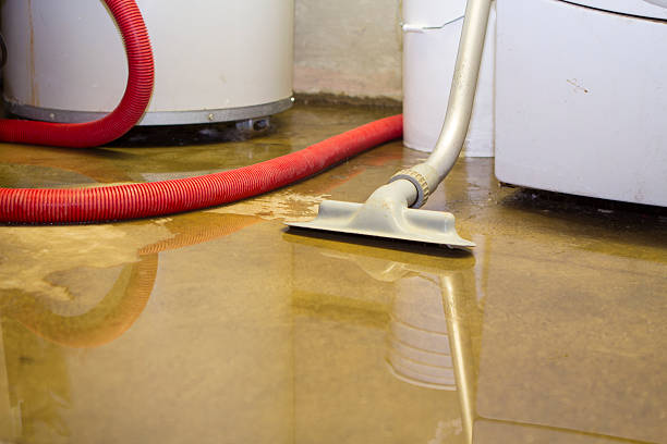 Best Water damage restoration near me  in St Joseph, MN
