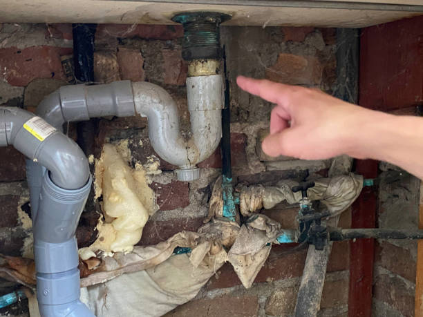 Best 24/7 water damage repair  in St Joseph, MN