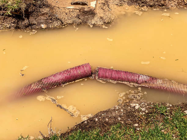 Best Emergency water extraction  in St Joseph, MN