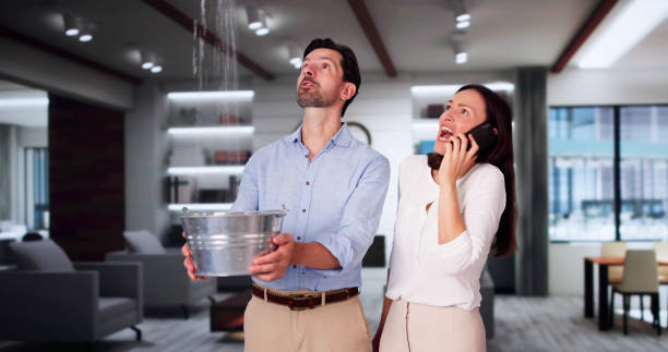 Best Mold removal after water damage  in St Joseph, MN