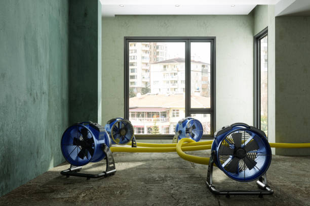 Best Residential water damage restoration  in St Joseph, MN