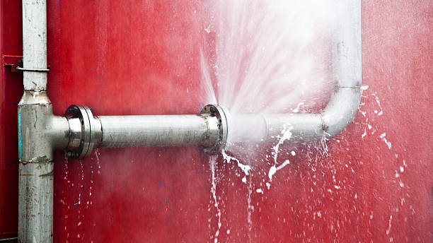 Best Local water damage restoration  in St Joseph, MN
